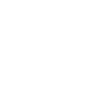 Rebllion